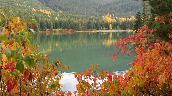 Panorama of Whistler Lost Lake