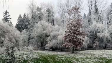 Park wearing white frost coat