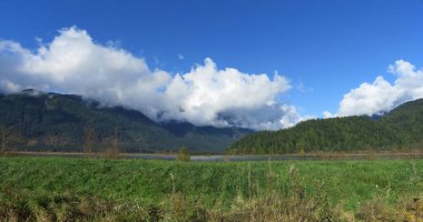 British Columbia spring scenery in the sunshine