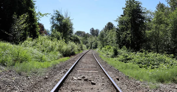 Railway Tracs Leading Somewhere British Columbia Canada Лицензионные Стоковые Изображения