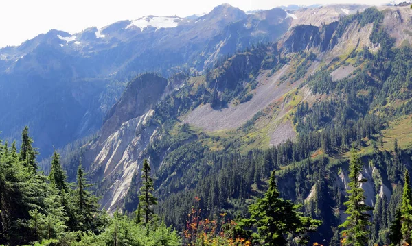 Cascadia Mountains Partir Mtbaker Slopes — Photo