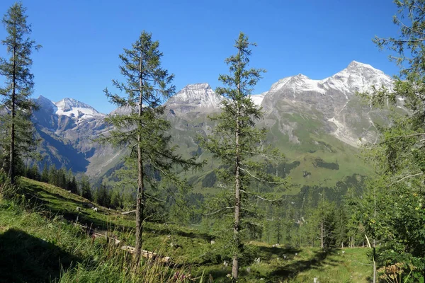Αυστριακές Κορυφές Grosses Wiesbachhorn Στα 3564M — Φωτογραφία Αρχείου