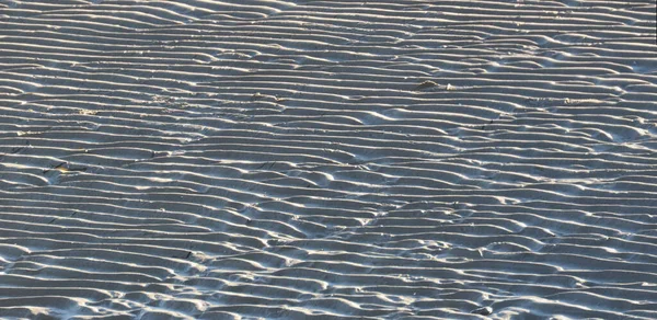 Sandy Ocean Bottom Low Tide — Stock Photo, Image