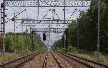 Polonya 'da ormanda bir yerlerde tren yolu var.