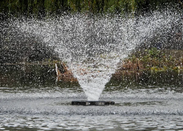 Sparkling fountain in a pond of the local park