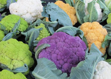 Karnabaharın canlı renkleri dalga geçiyor.                               