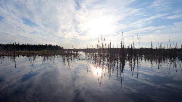 호수에 모습을 드러낸 북서쪽 지역의 — 스톡 사진