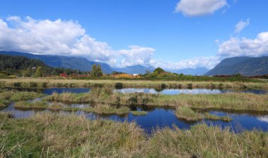Dağ vadisinde güneşli güzel bir gün