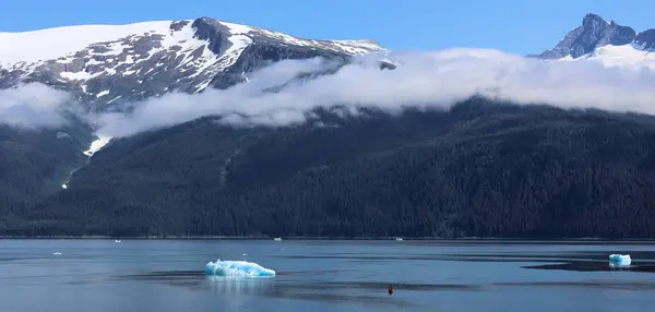 Scenario Estivo Dell Alaska Nel Fiordo Del Braccio Tracy — Foto Stock