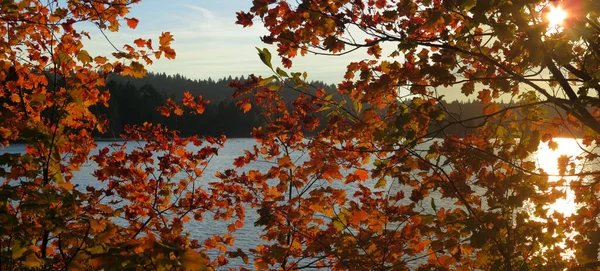 Herbstliche Farben Den Sonnenstrahlen — Stockfoto