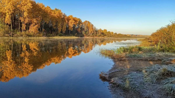 Golden autumn. The shore of the forest lake — стоковое фото