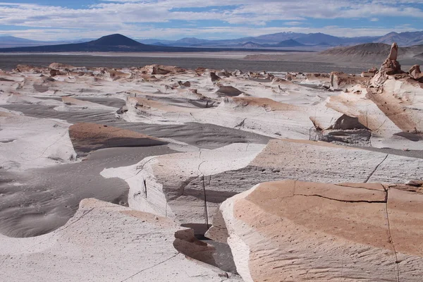 Arjantin 'in kuzeybatısında eşsiz bir sünger taşı tarlası.