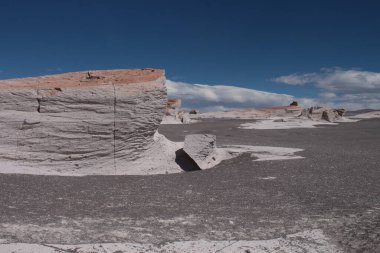 Arjantin 'in kuzeybatısında eşsiz bir sünger taşı tarlası.