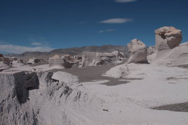 Arjantin 'in kuzeybatısında eşsiz bir sünger taşı tarlası.