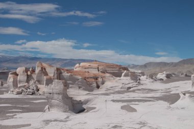 Arjantin 'in kuzeybatısında eşsiz bir sünger taşı tarlası.