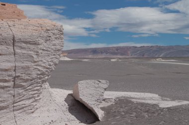 Arjantin 'in kuzeybatısında eşsiz bir sünger taşı tarlası.