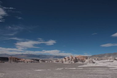 Arjantin 'in kuzeybatısında eşsiz bir sünger taşı tarlası.