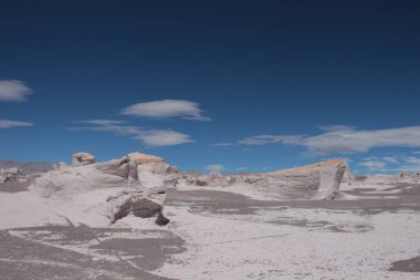 Arjantin 'in kuzeybatısında eşsiz bir sünger taşı tarlası.