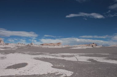 Arjantin 'in kuzeybatısında eşsiz bir sünger taşı tarlası.