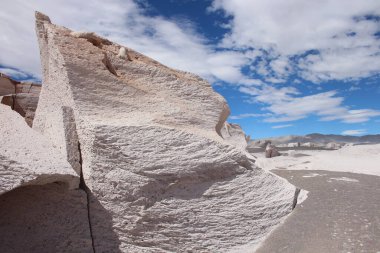 Arjantin 'in kuzeybatısında eşsiz bir sünger taşı tarlası.