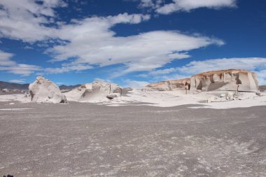 Arjantin 'in kuzeybatısında eşsiz bir sünger taşı tarlası.