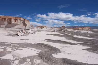 Arjantin 'in kuzeybatısında eşsiz bir sünger taşı tarlası.