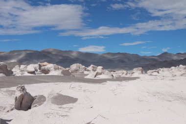 Arjantin 'in kuzeybatısında eşsiz bir sünger taşı tarlası.