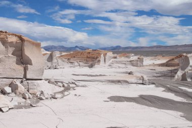 Arjantin 'in kuzeybatısında eşsiz bir sünger taşı tarlası.