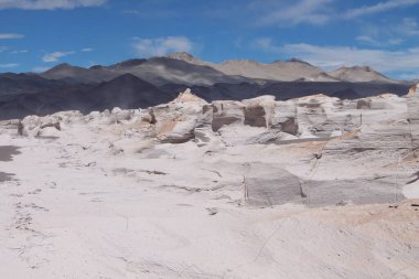 Arjantin 'in kuzeybatısında eşsiz bir sünger taşı tarlası.