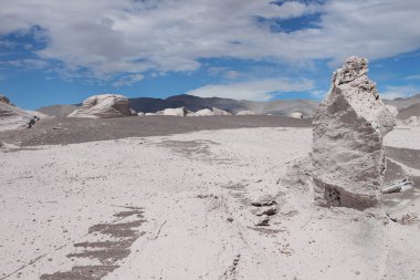 Arjantin 'in kuzeybatısında eşsiz bir sünger taşı tarlası.