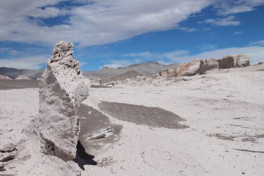 Arjantin 'in kuzeybatısında eşsiz bir sünger taşı tarlası.