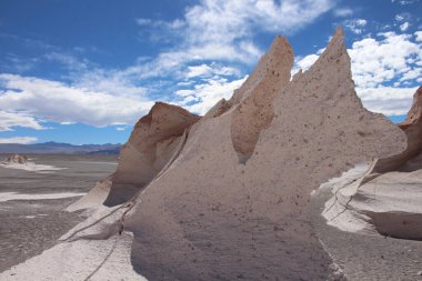 Arjantin 'in kuzeybatısında eşsiz bir sünger taşı tarlası.