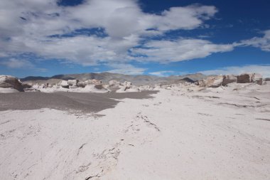 Arjantin 'in kuzeybatısında eşsiz bir sünger taşı tarlası.