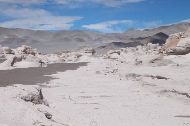 Arjantin 'in kuzeybatısında eşsiz bir sünger taşı tarlası.