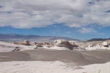 Arjantin 'in kuzeybatısında eşsiz bir sünger taşı tarlası.