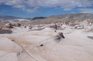 Arjantin 'in kuzeybatısında eşsiz bir sünger taşı tarlası.