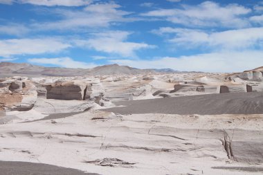 Arjantin 'in kuzeybatısında eşsiz bir sünger taşı tarlası.