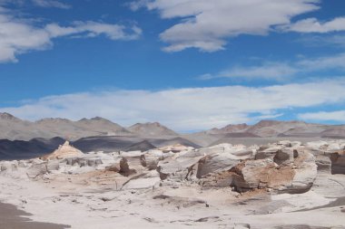 Arjantin 'in kuzeybatısında eşsiz bir sünger taşı tarlası.