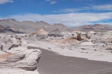 Arjantin 'in kuzeybatısında eşsiz bir sünger taşı tarlası.