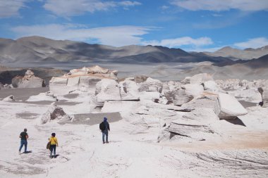 Arjantin 'in kuzeybatısında eşsiz bir sünger taşı tarlası.