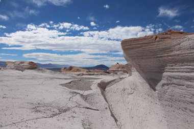 Arjantin 'in kuzeybatısında eşsiz bir sünger taşı tarlası.