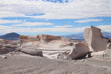 Arjantin 'in kuzeybatısında eşsiz bir sünger taşı tarlası.