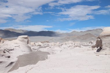 Arjantin 'in kuzeybatısında eşsiz bir sünger taşı tarlası.
