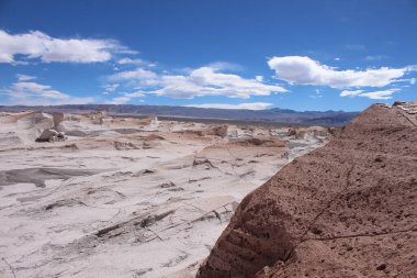Arjantin 'in kuzeybatısında eşsiz bir sünger taşı tarlası.