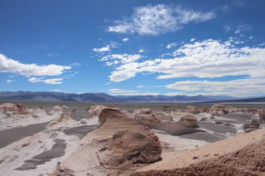 Arjantin 'in kuzeybatısında eşsiz bir sünger taşı tarlası.