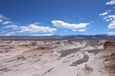 Arjantin 'in kuzeybatısında eşsiz bir sünger taşı tarlası.