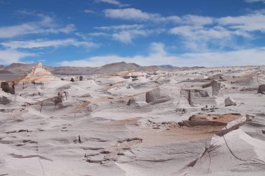 Arjantin 'in kuzeybatısında eşsiz bir sünger taşı tarlası.