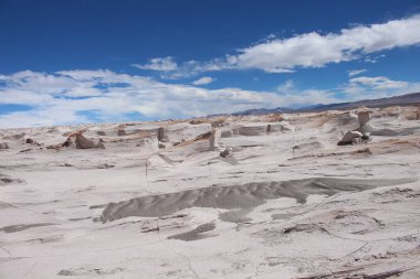 Arjantin 'in kuzeybatısında eşsiz bir sünger taşı tarlası.