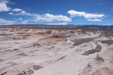 Arjantin 'in kuzeybatısında eşsiz bir sünger taşı tarlası.