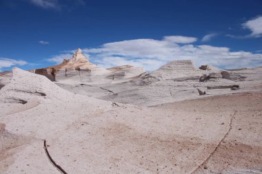 Arjantin 'in kuzeybatısında eşsiz bir sünger taşı tarlası.